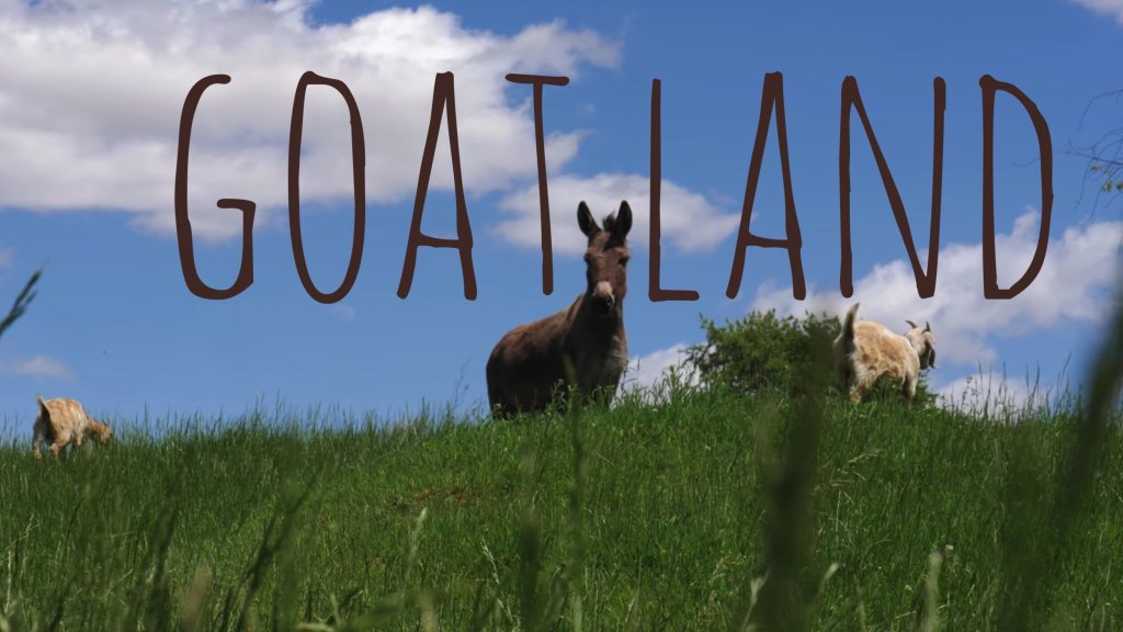 Goat Land – Camping